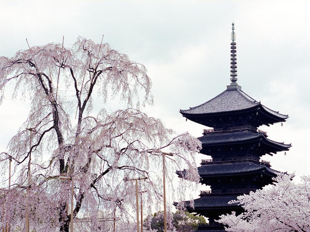 Rin Kyoto Kinkaku-Ji Temple Quioto Exterior foto
