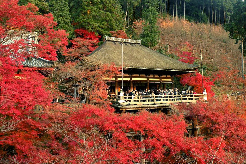 Rin Kyoto Kinkaku-Ji Temple Quioto Exterior foto